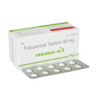 FEBUREG 40