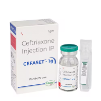 CEFASET 1gm INJ